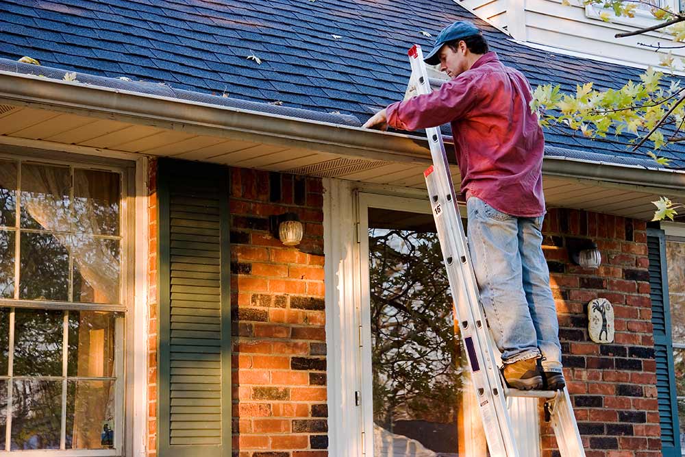 Cellar Door Home Inspection Gutters