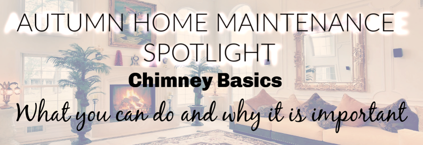 Autumn Home Maintenance Spotlight: Chimney Basics